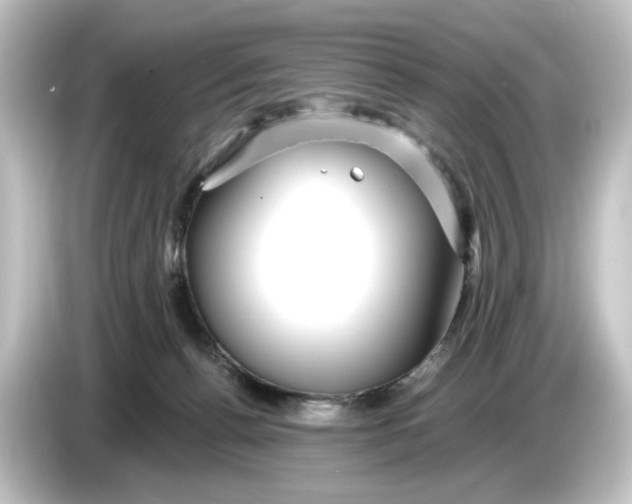 X0000084600176200703161825