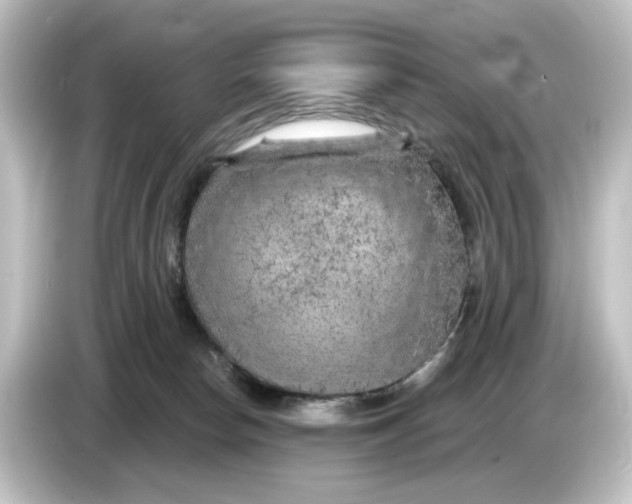 X0000084600178200703161825