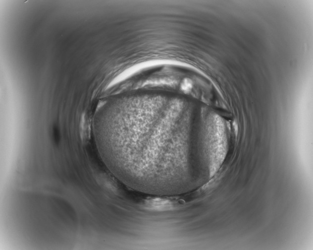 X0000084600180200703161825