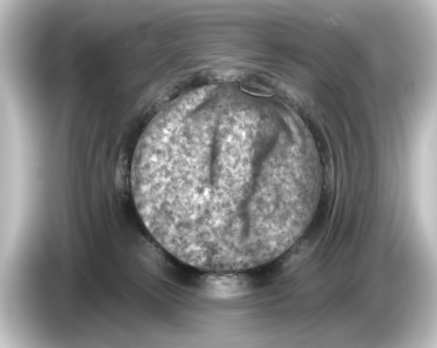 X0000084600181200703161825