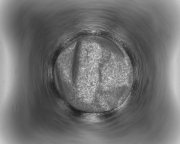 X0000084600182200703161825