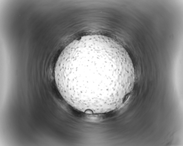 X0000084600187200703161825