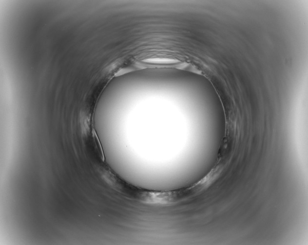 X0000084600188200703161825