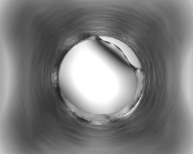 X0000084600190200703161825