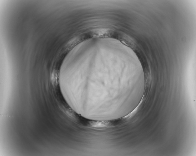 X0000084600191200703161825