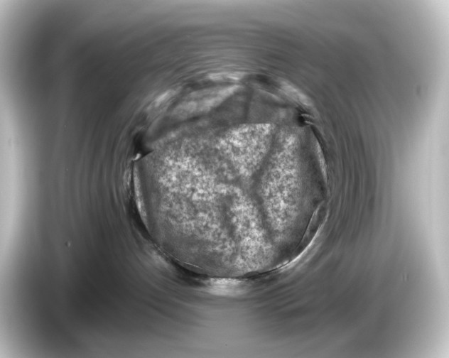 X0000084600192200703161825