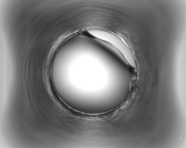 X0000084600193200703161824