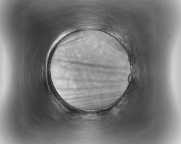 X0000084600196200703161824