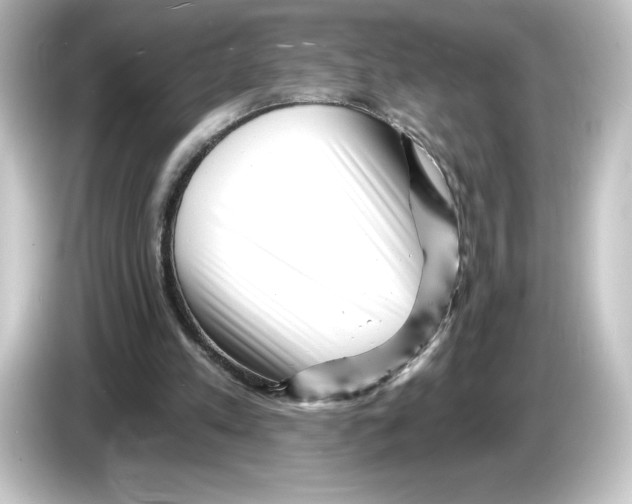 X0000084600197200703161824