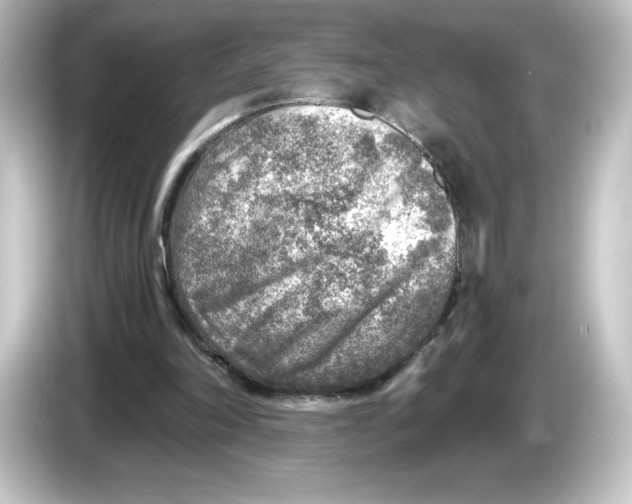 X0000084600198200703161824