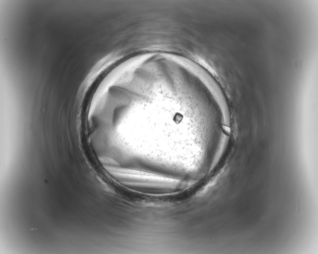 X0000084600199200703161824