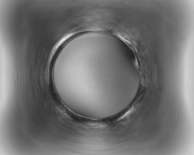 X0000084600200200703161824