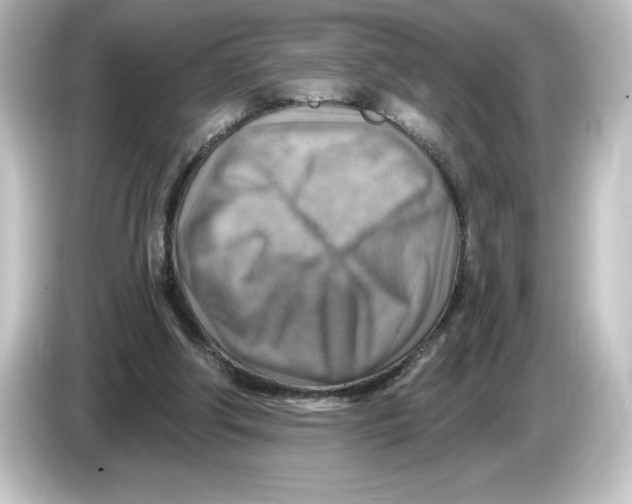 X0000084600202200703161824