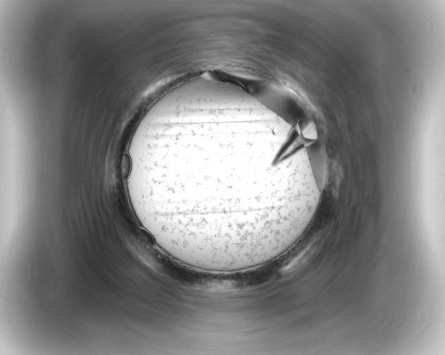 X0000084600203200703161824