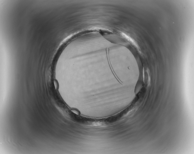 X0000084600204200703161824