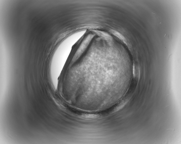 X0000084600205200703161824