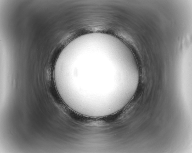 X0000084600210200703161824