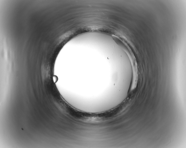 X0000084600212200703161824