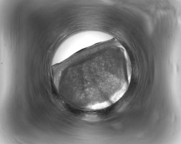 X0000084600214200703161824