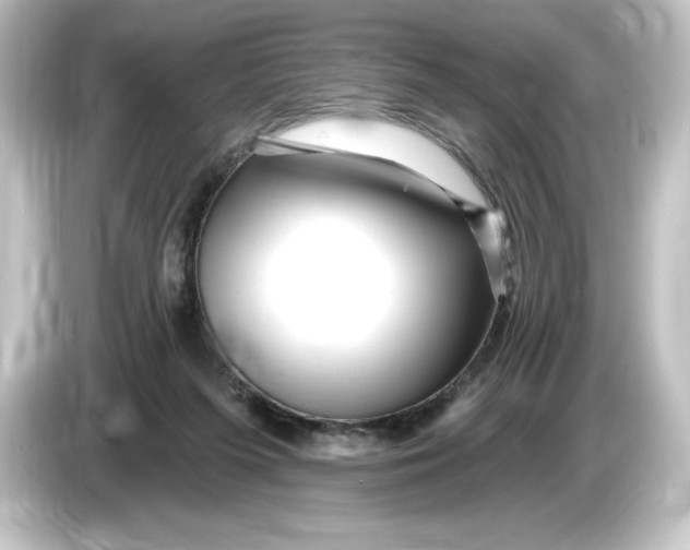 X0000084600215200703161824