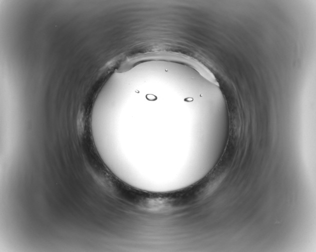 X0000084600216200703161824