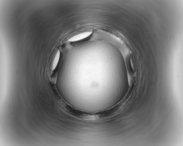 X0000084600217200703161824