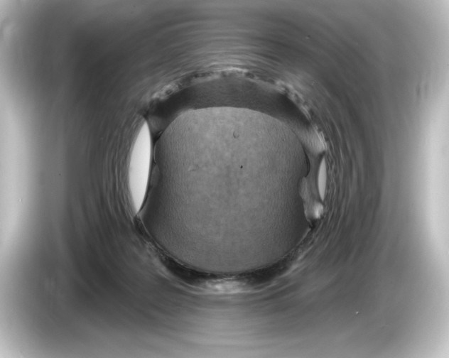 X0000084600219200703161824