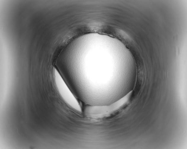 X0000084600221200703161824