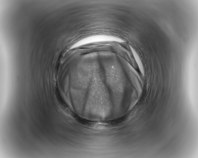 X0000084600222200703161824