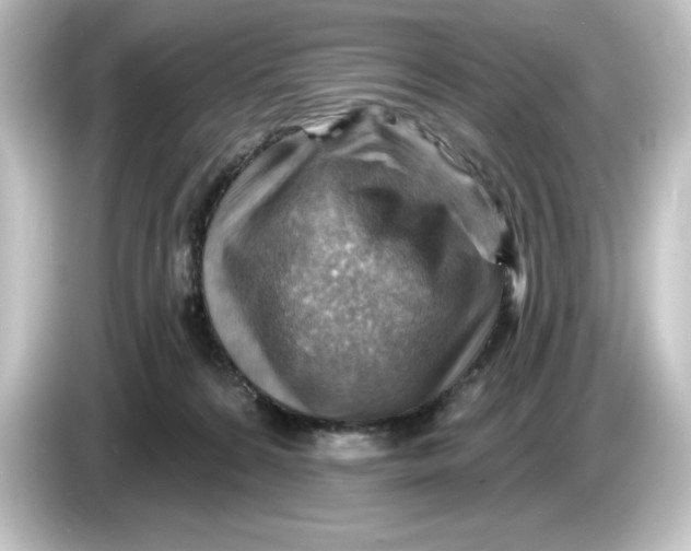 X0000084600224200703161824