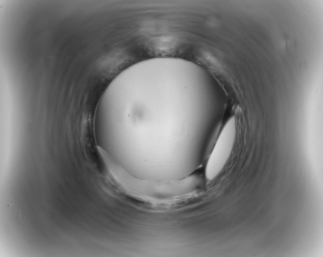 X0000084600225200703161824