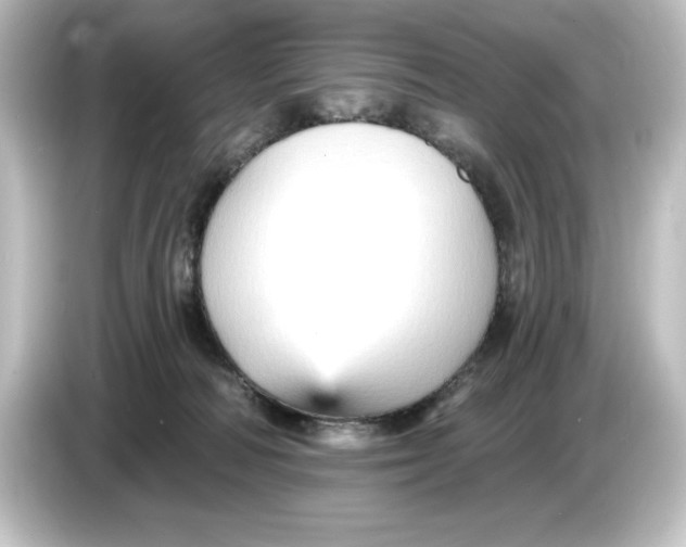 X0000084600226200703161824