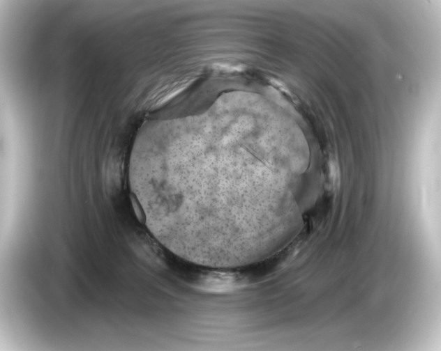 X0000084600227200703161824