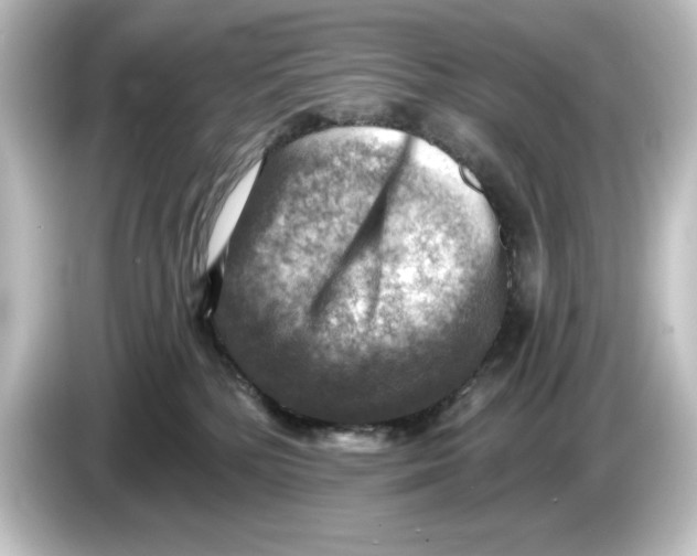 X0000084600232200703161824