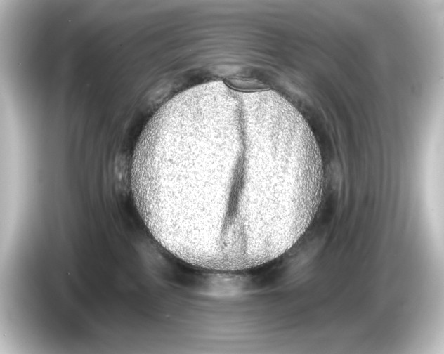 X0000084600234200703161824