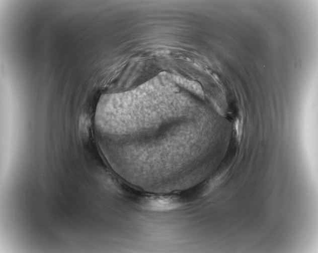 X0000084600235200703161824