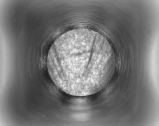 X0000084600236200703161824