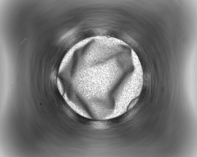 X0000084600238200703161824