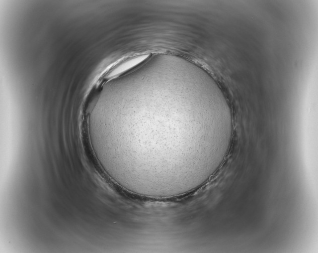 X0000084600242200703161823