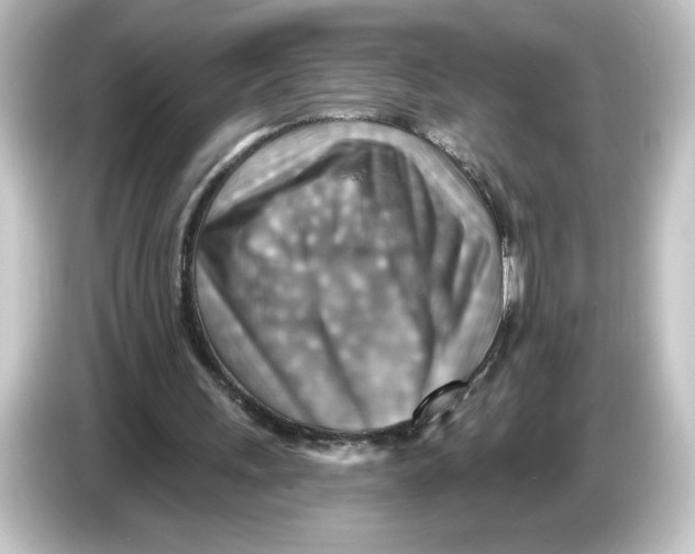 X0000084600243200703161823