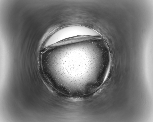 X0000084600245200703161823