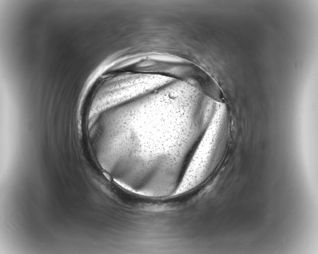 X0000084600246200703161823