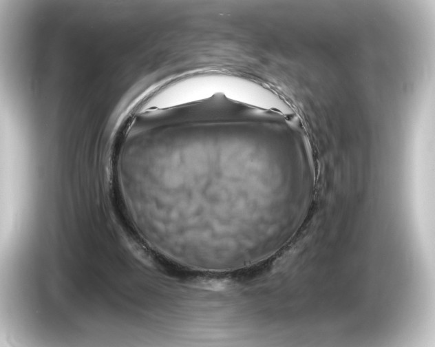 X0000084600247200703161823