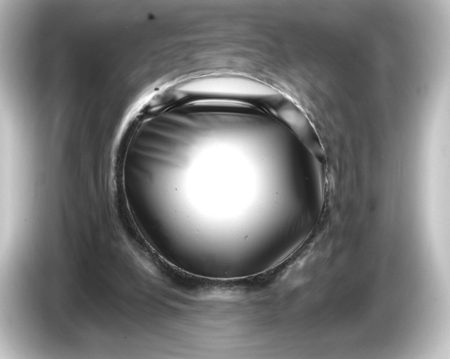 X0000084600248200703161823