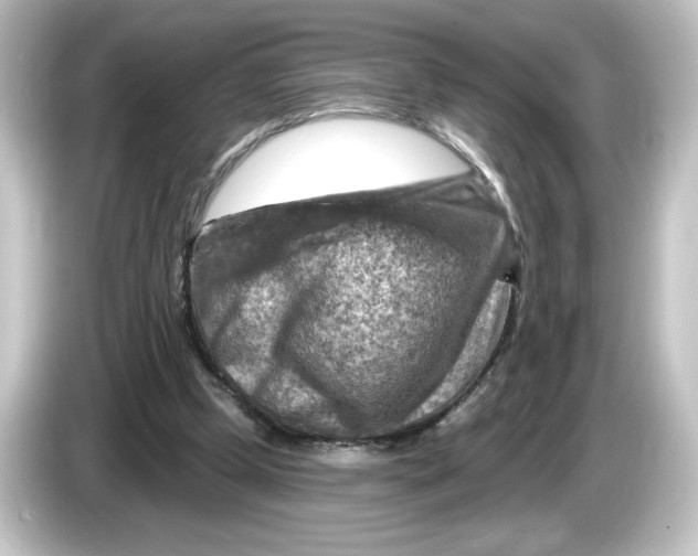 X0000084600249200703161823