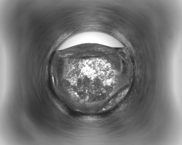 X0000084600250200703161823