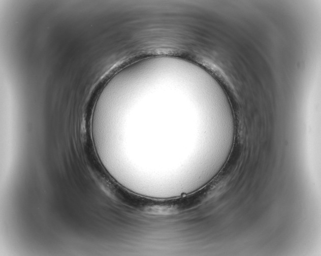 X0000084600251200703161823