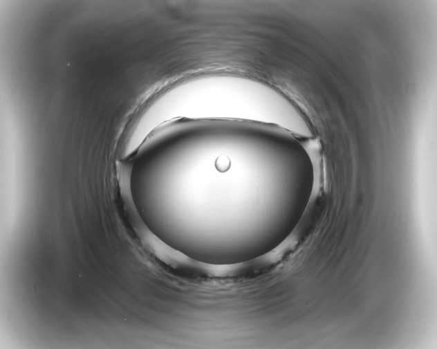 X0000084600252200703161823