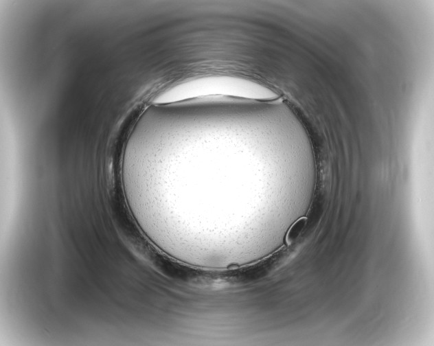 X0000084600254200703161823