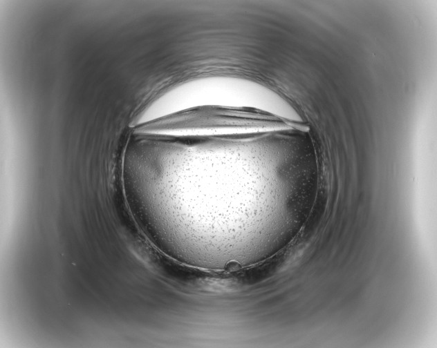 X0000084600255200703161823